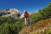 moutainbiken03